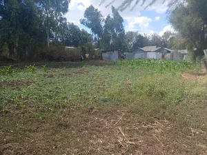 Land for Lease in Matasia