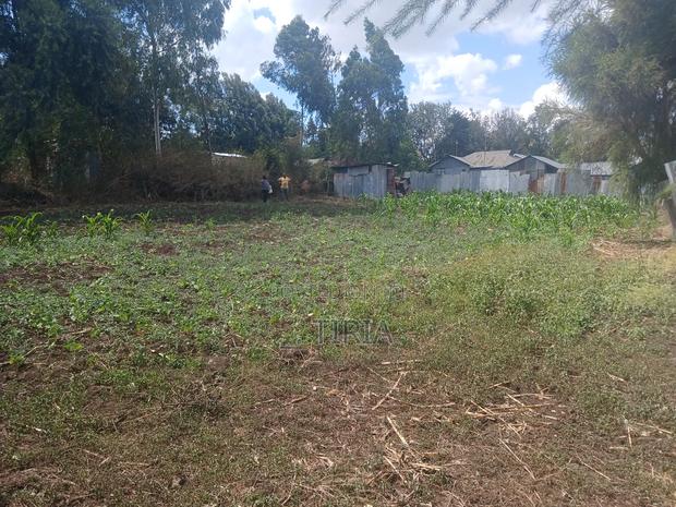 Land for Lease in Matasia - thumbnail 6