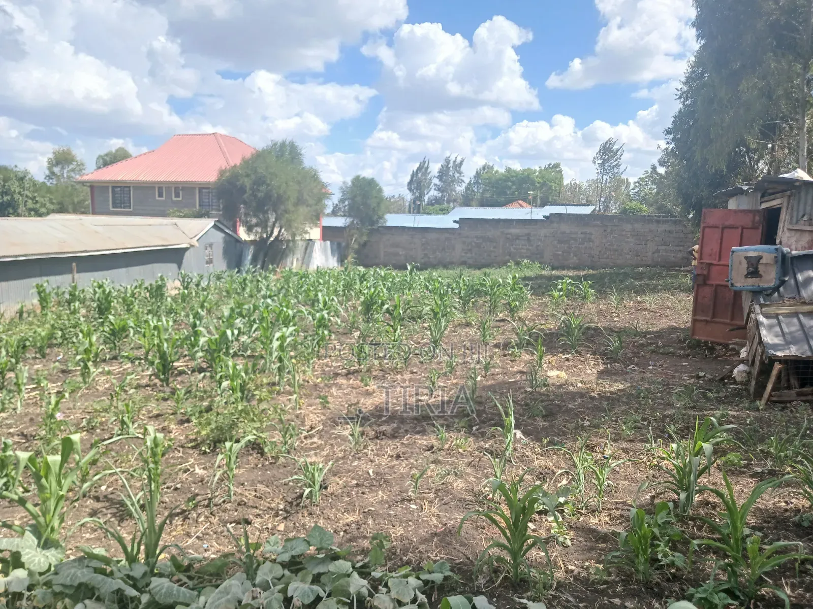 Land for Lease in Matasia