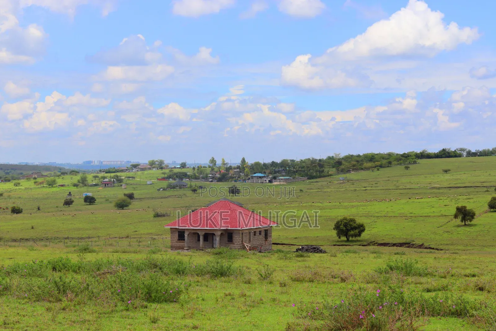 Plots for Sale in Milimani, Kitengela.