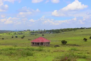 Plots for Sale in Milimani, Kitengela.