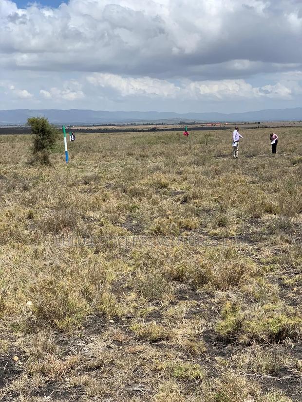 50*100 Rumuruti Plots for Sale - thumbnail 3