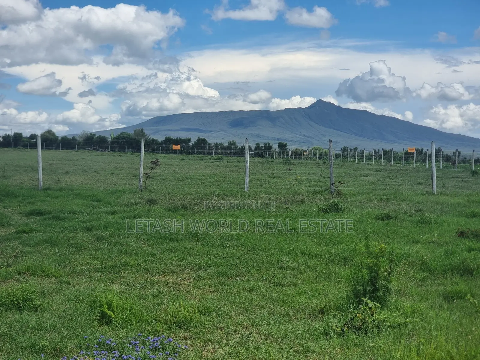 3 Bedroom Mansionette In Naivasha Mirera Area