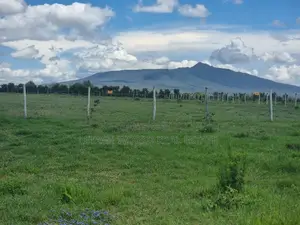 3 Bedroom Mansionette In Naivasha Mirera Area