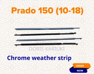 Prado 150 Chrome Weather Strips
