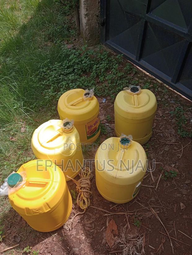 Rabbit Urine - main view