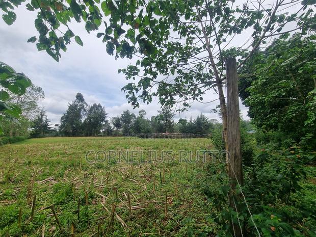 Plot for Sale Kibomet-Kitale - thumbnail 3