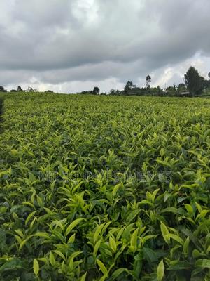 3 Acres of Land on Sale at Giturū -Kangari