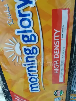 Mattress - High Density 5×6×10, Morning Glory, Foam Mattress