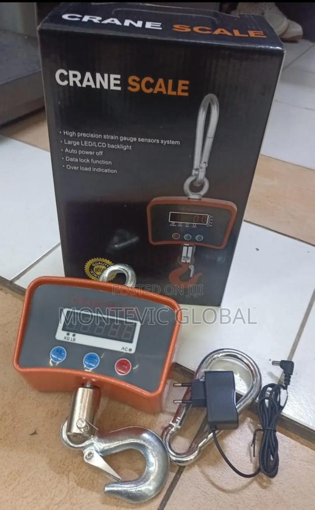 500kg Crane Scale /Maximum 500kg Weighing Scale
