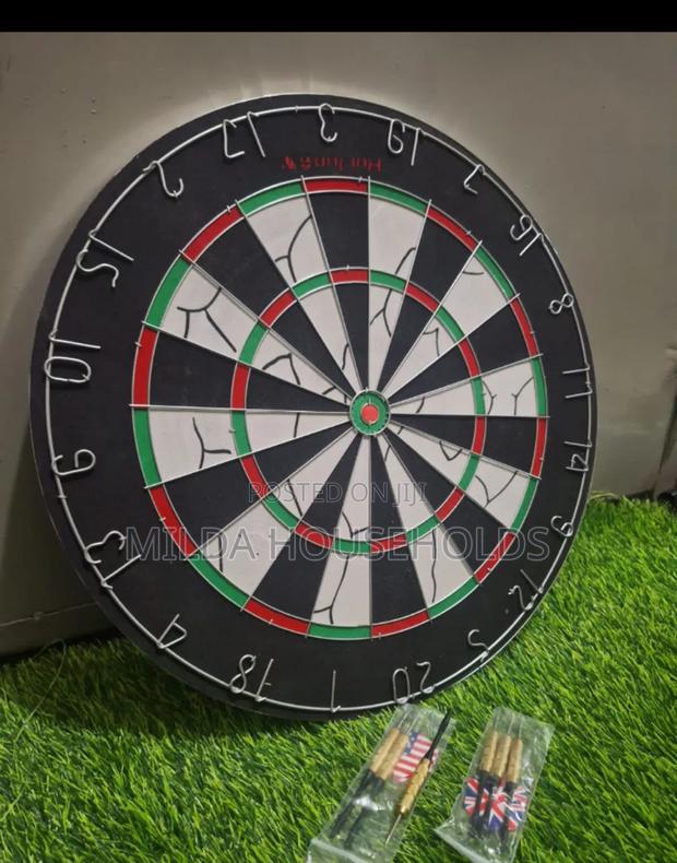 Professional Dart Board - main view