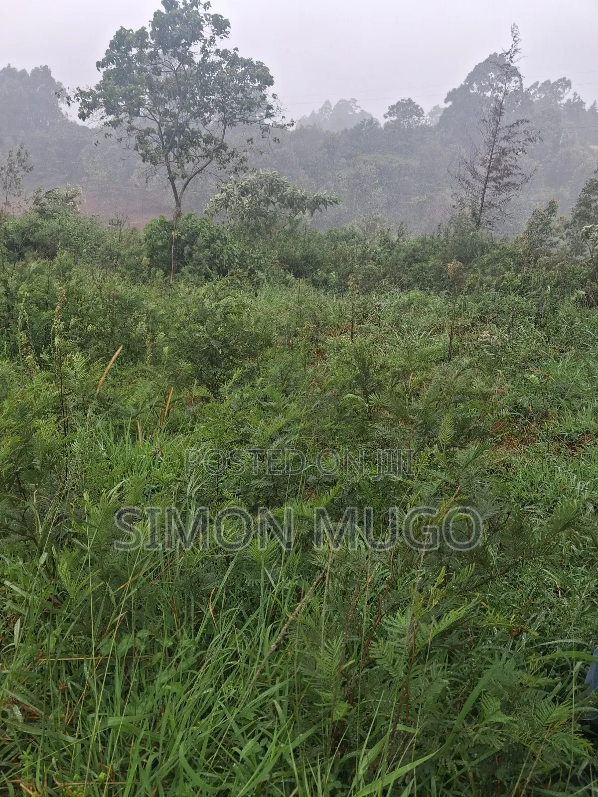 Redhill Prime 1.25 Ac Fronting Limuru Rd