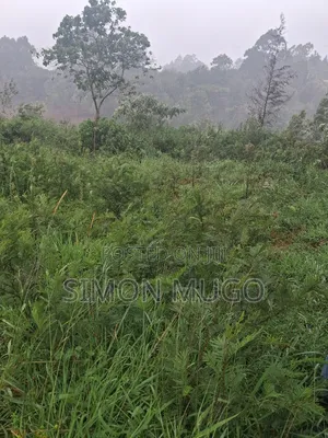 Redhill Prime 1.25 Ac Fronting Limuru Rd
