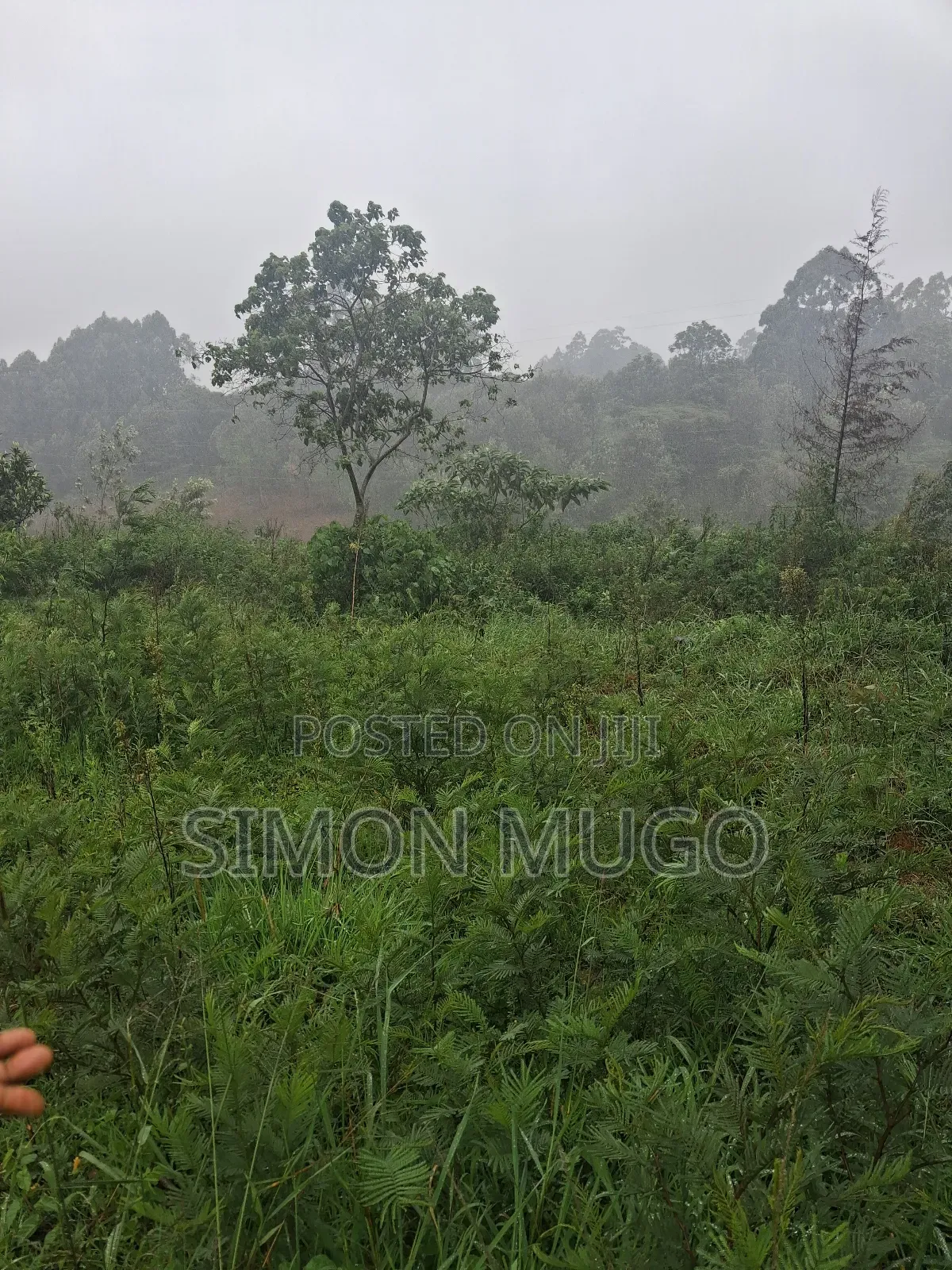 Redhill Prime 1.25 Ac Fronting Limuru Rd