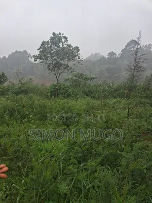 Redhill Prime 1.25 Ac Fronting Limuru Rd