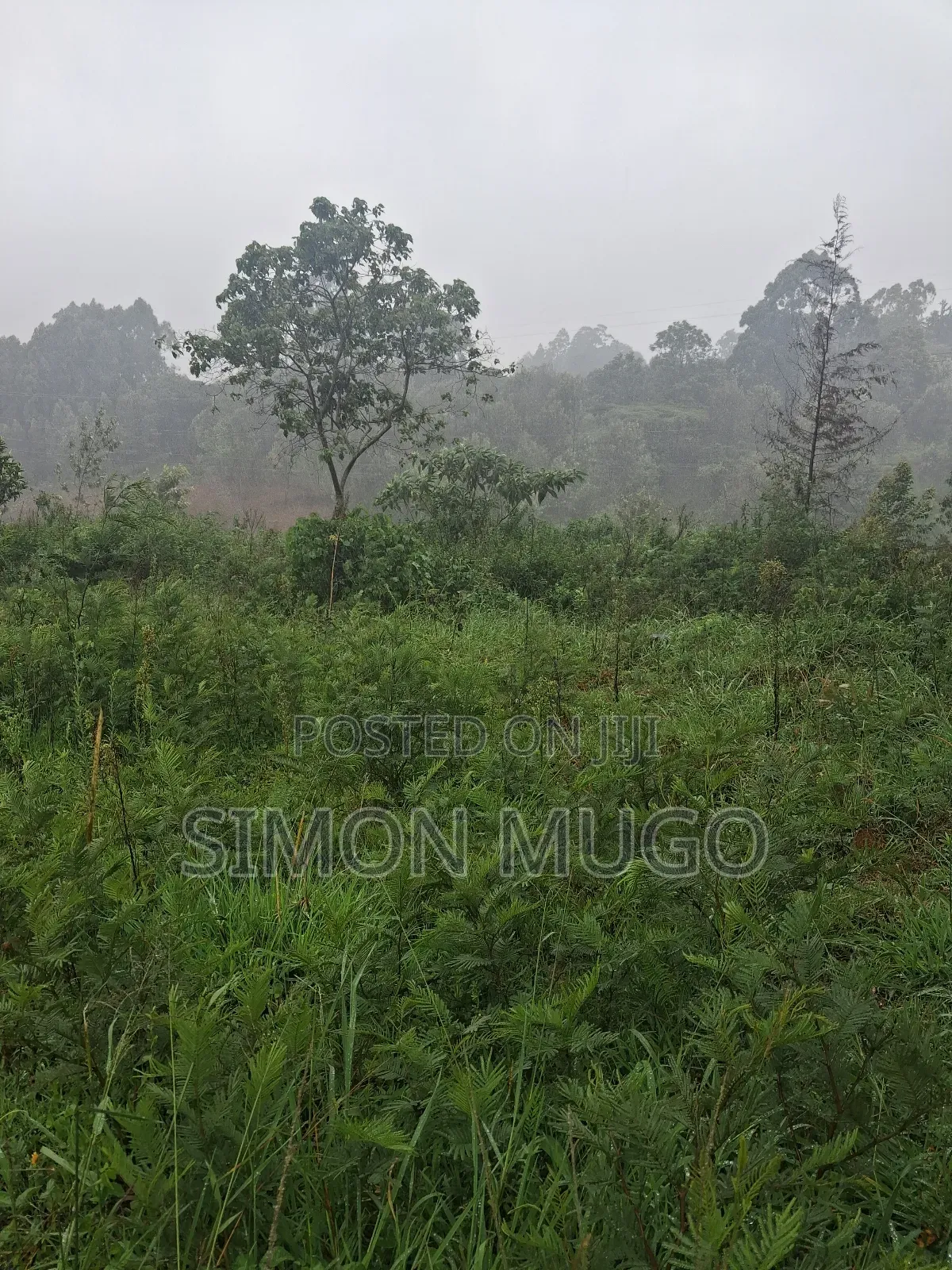 Redhill Prime 1.25 Ac Fronting Limuru Rd