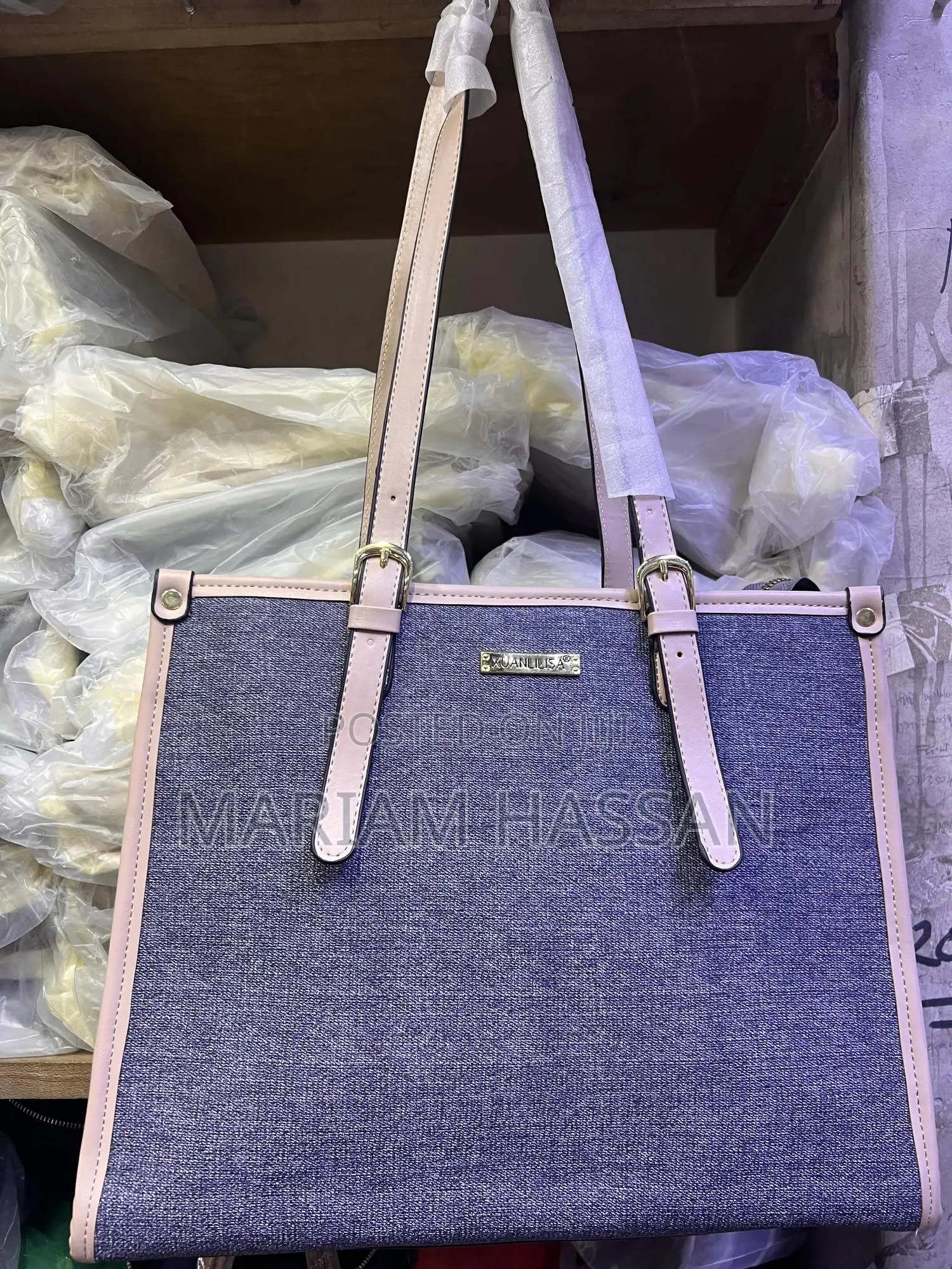 Handbags/ Luggages