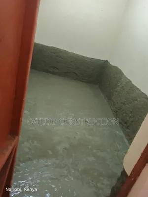 Rising Dampness Treatment, Damp Proofing