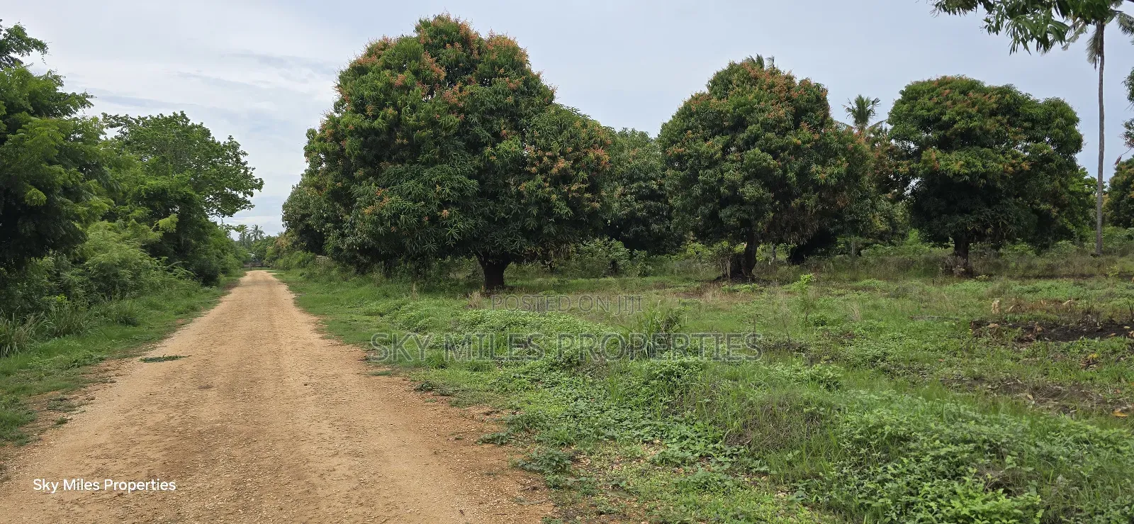 Prime 6-Acre Land for Sale - Kikambala