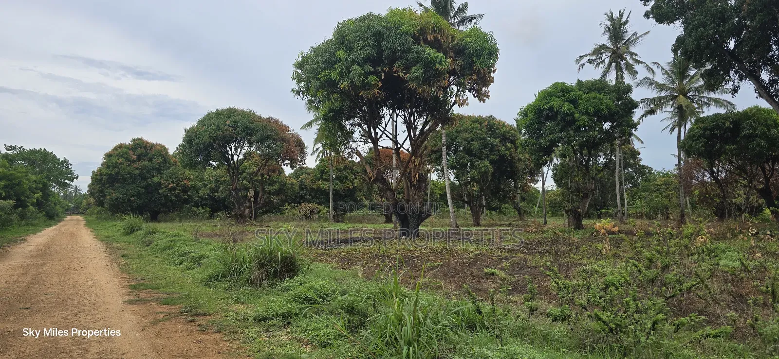 Prime 6-Acre Land for Sale - Kikambala