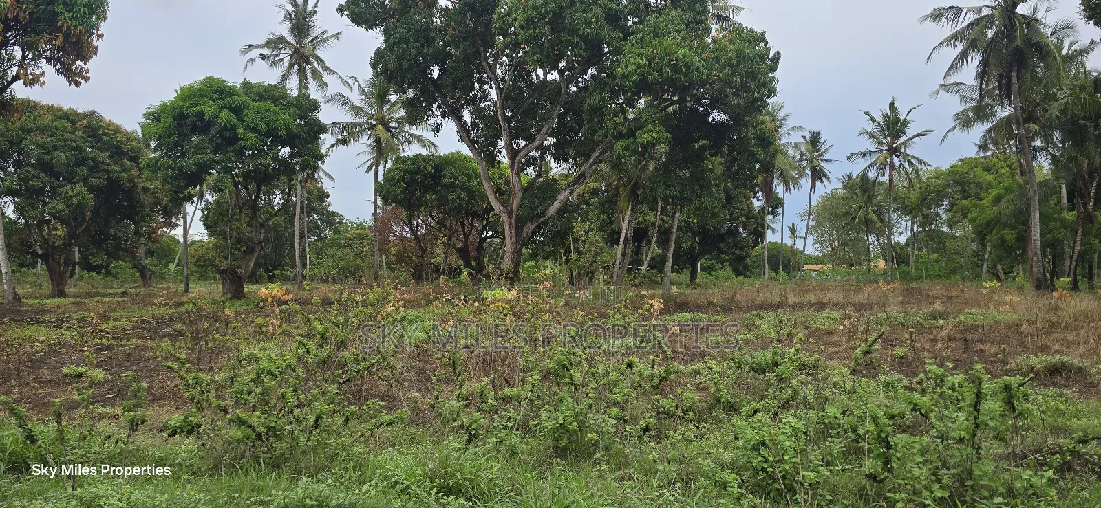 Prime 6-Acre Land for Sale - Kikambala