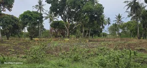 Prime 6-Acre Land for Sale - Kikambala