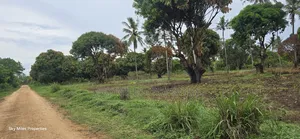 Prime 6-Acre Land for Sale - Kikambala