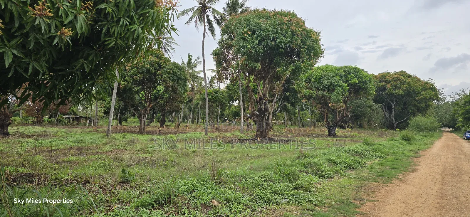 Prime 6-Acre Land for Sale - Kikambala