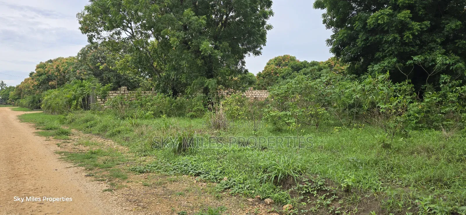 Prime 6-Acre Land for Sale - Kikambala