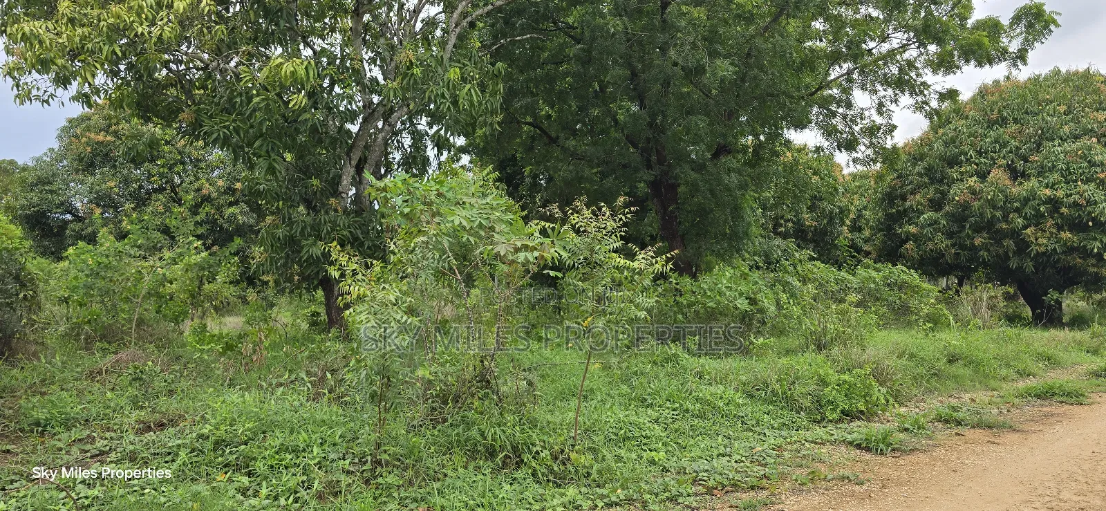 Prime 6-Acre Land for Sale - Kikambala