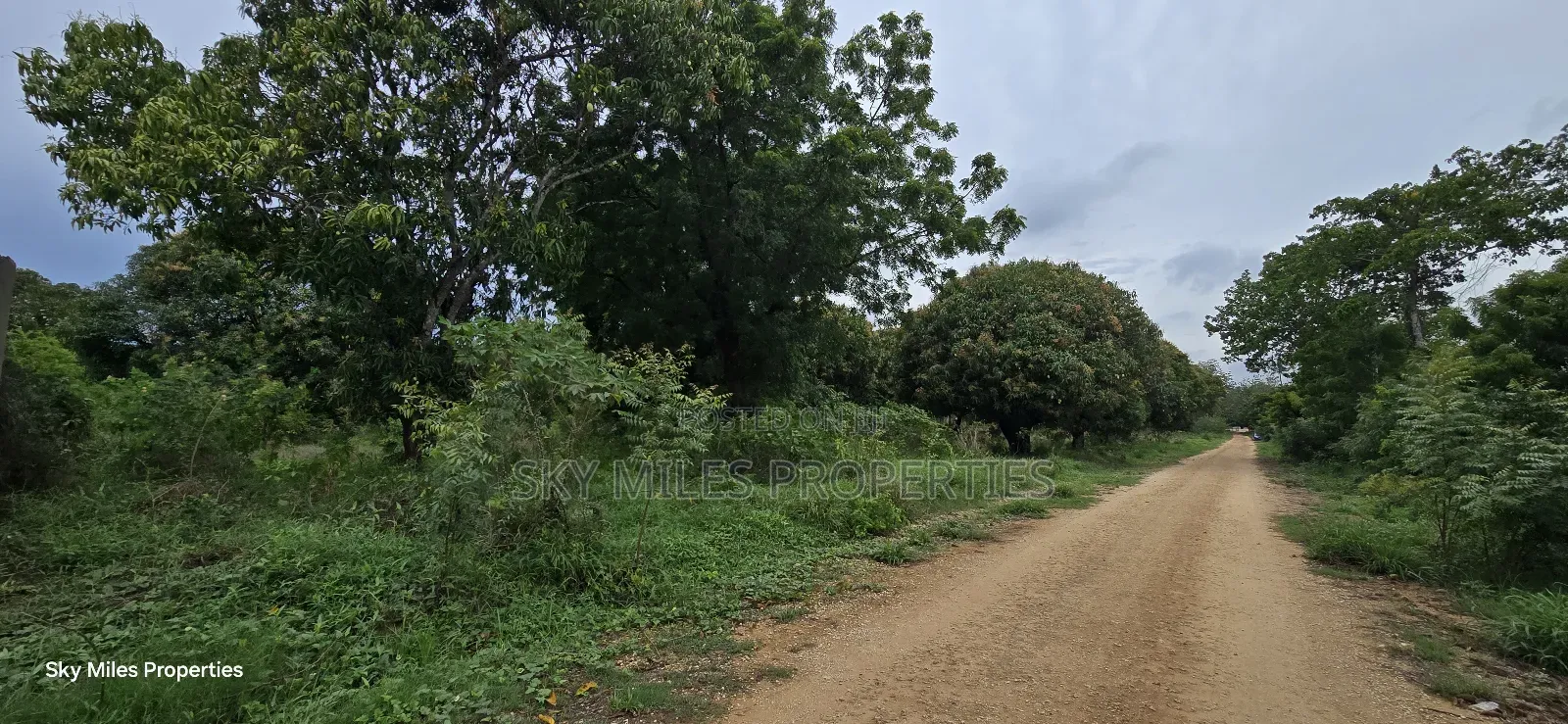 Prime 6-Acre Land for Sale - Kikambala