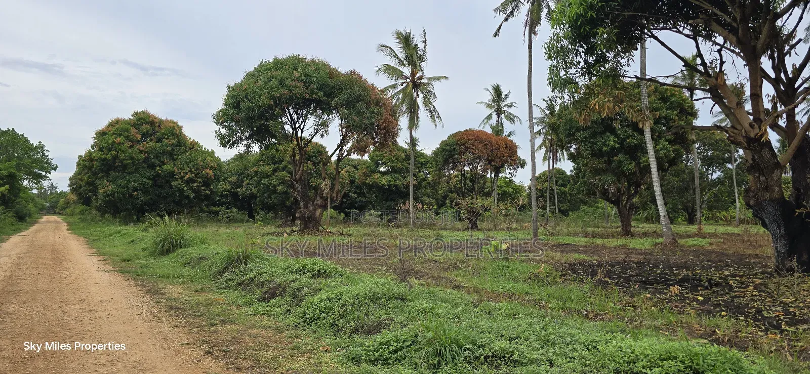 Prime 6-Acre Land for Sale - Kikambala