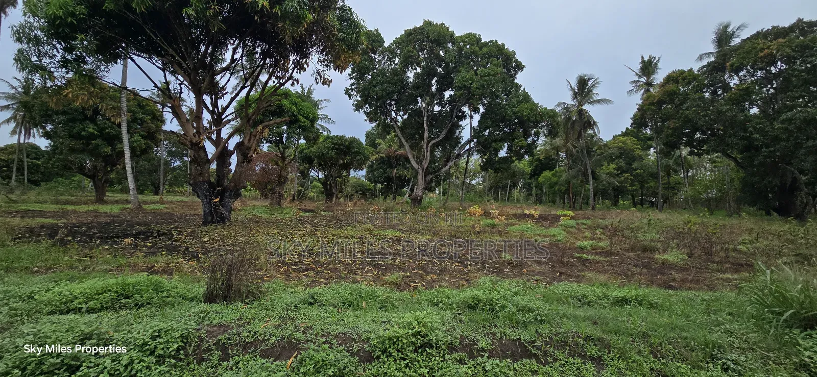 Prime 6-Acre Land for Sale - Kikambala