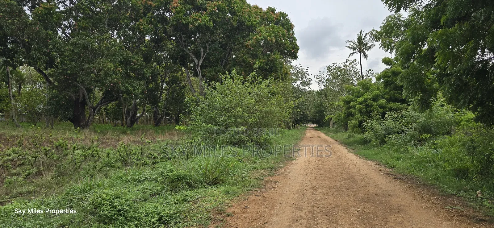 Prime 6-Acre Land for Sale - Kikambala