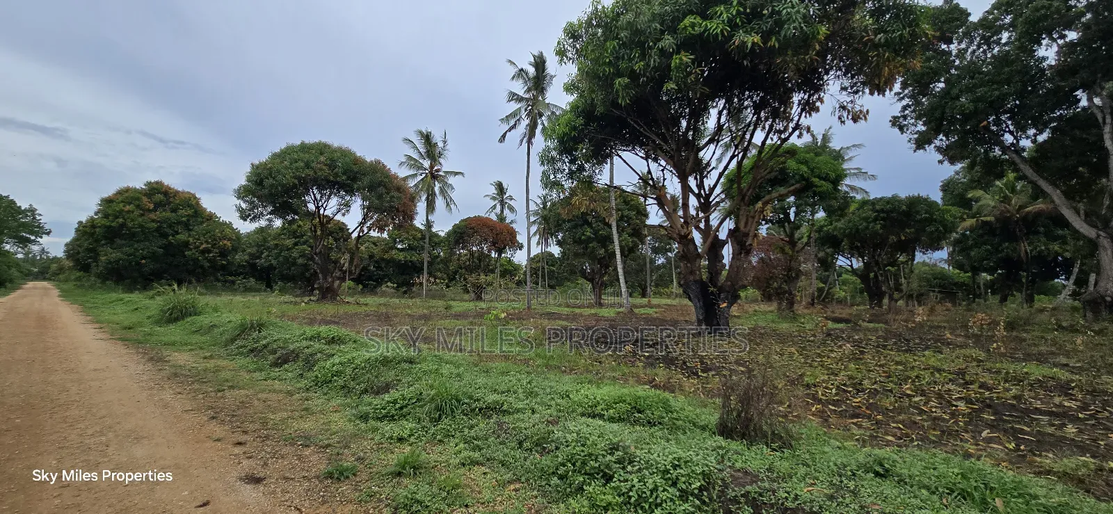 Prime 6-Acre Land for Sale - Kikambala