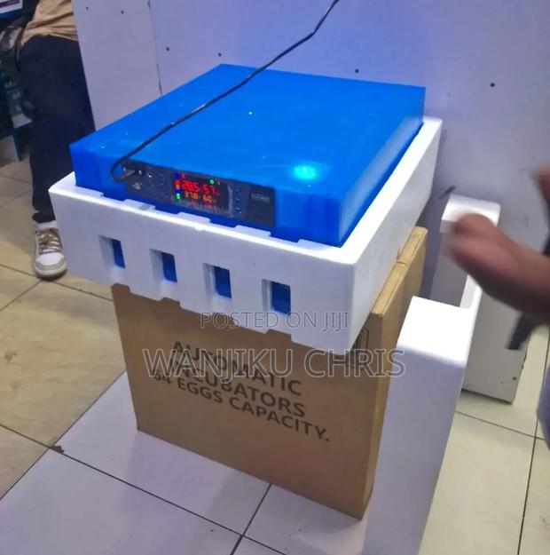 Most Selling Egg Incubator/64 Eggs Incubator