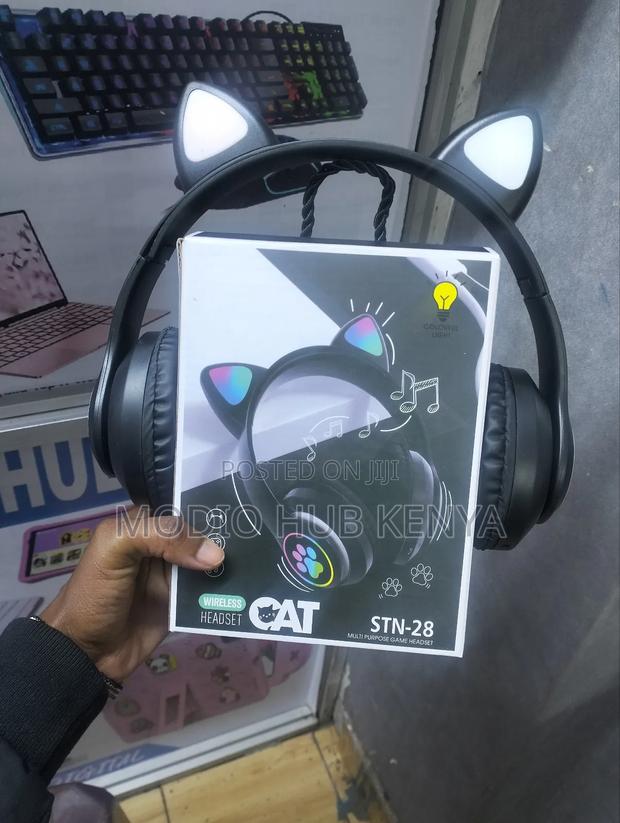 Cat Ear Design Headphones - main view