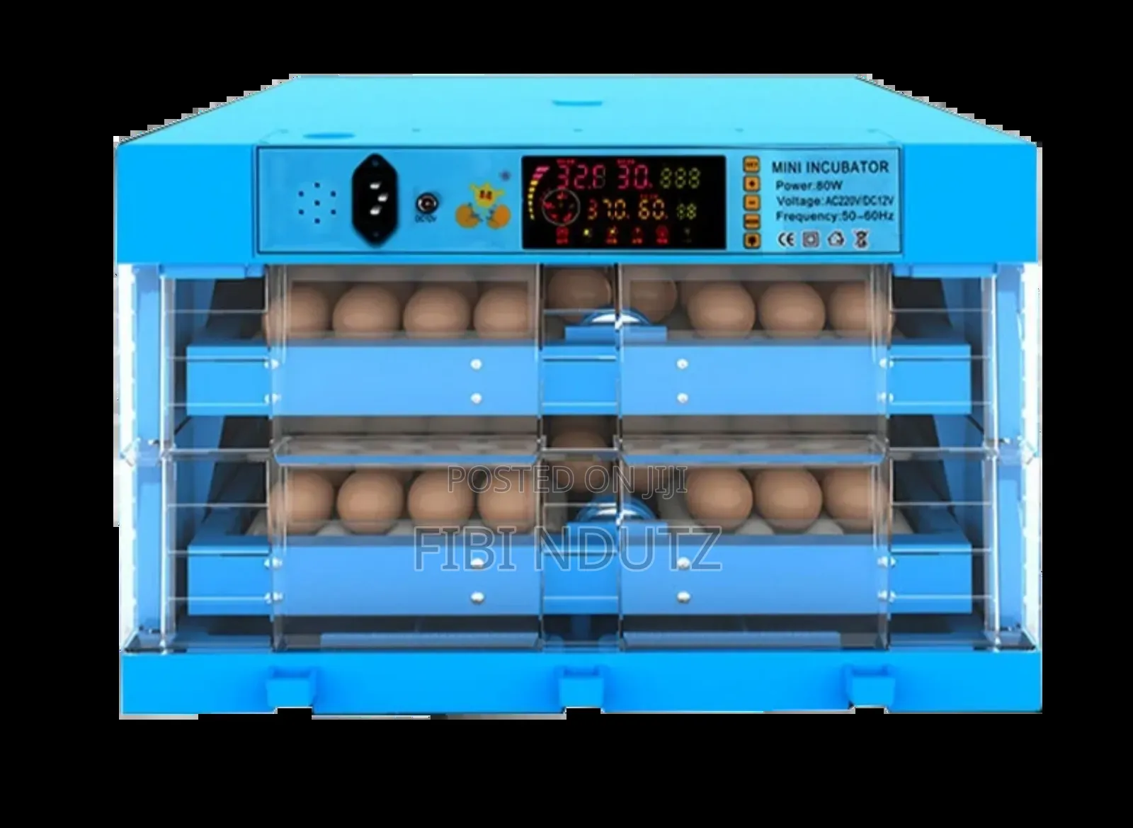 Dc Egg Incubator/128eggs Incubator for Poultry