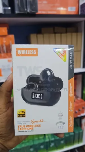 Wireless Earhook With Noise Cancellation