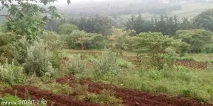 2.5 Acre Land for Sale in Ndeiya-Limuru