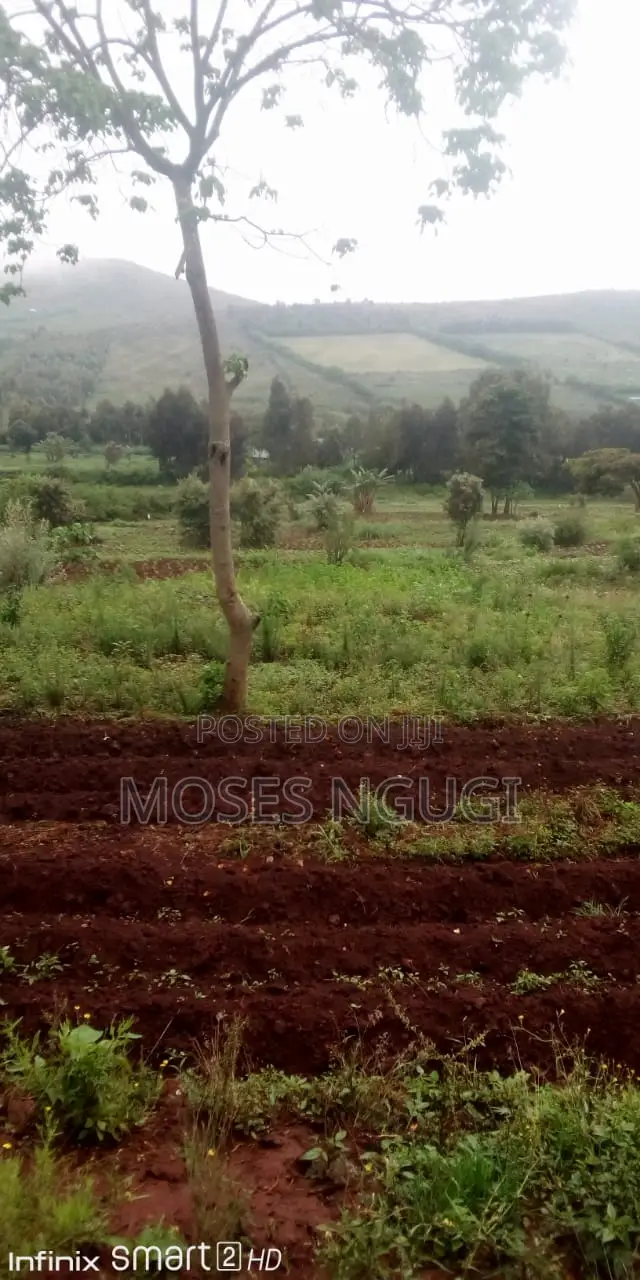 5 Acre Land for Sale