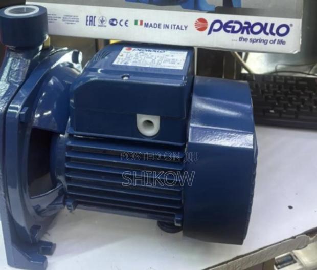 Easy Installation 1hp Pedrollo Pump