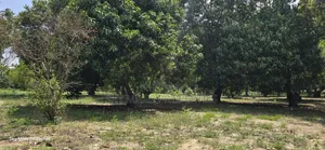 Prime 6-Acre Land for Sale in Mtwapa - Near Creek Beach