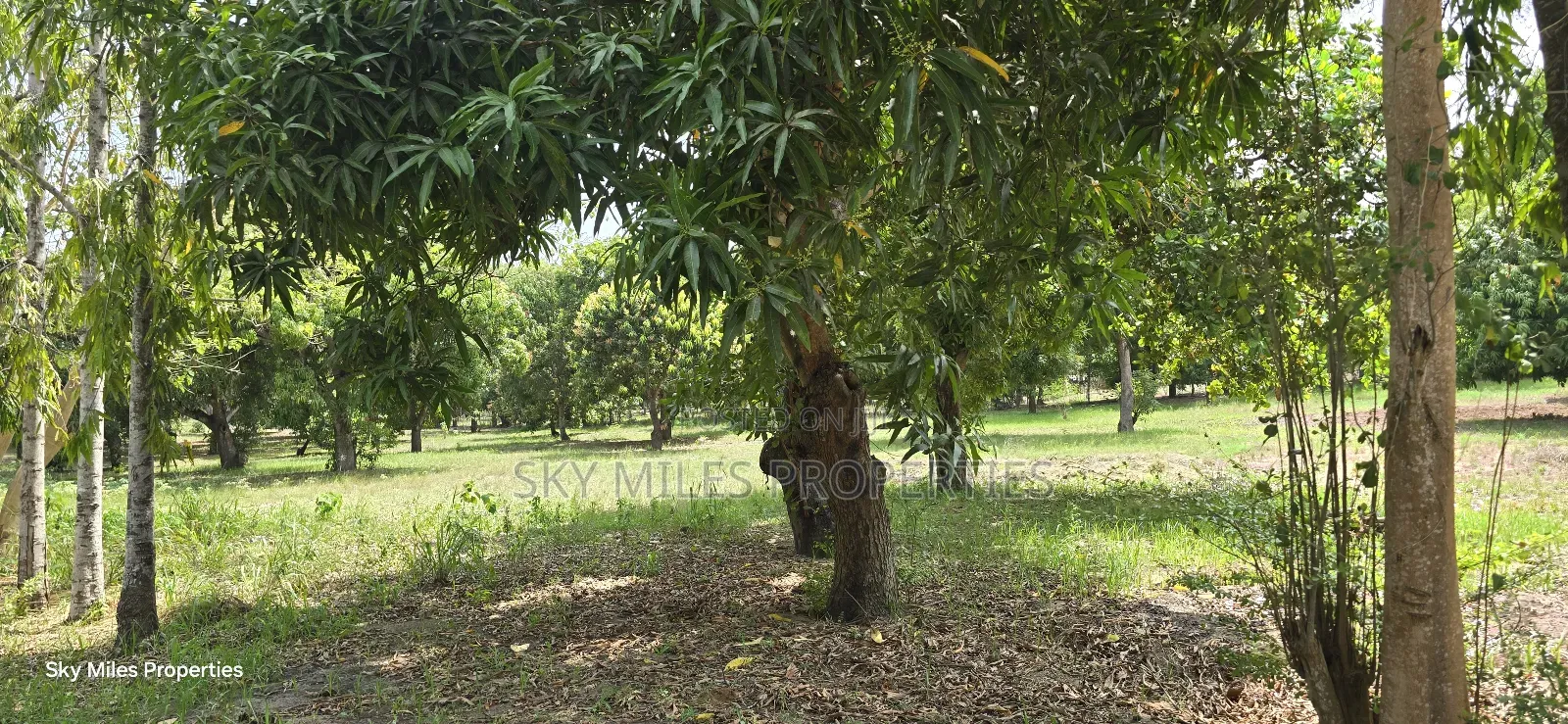 Prime 6-Acre Land for Sale in Mtwapa - Near Creek Beach