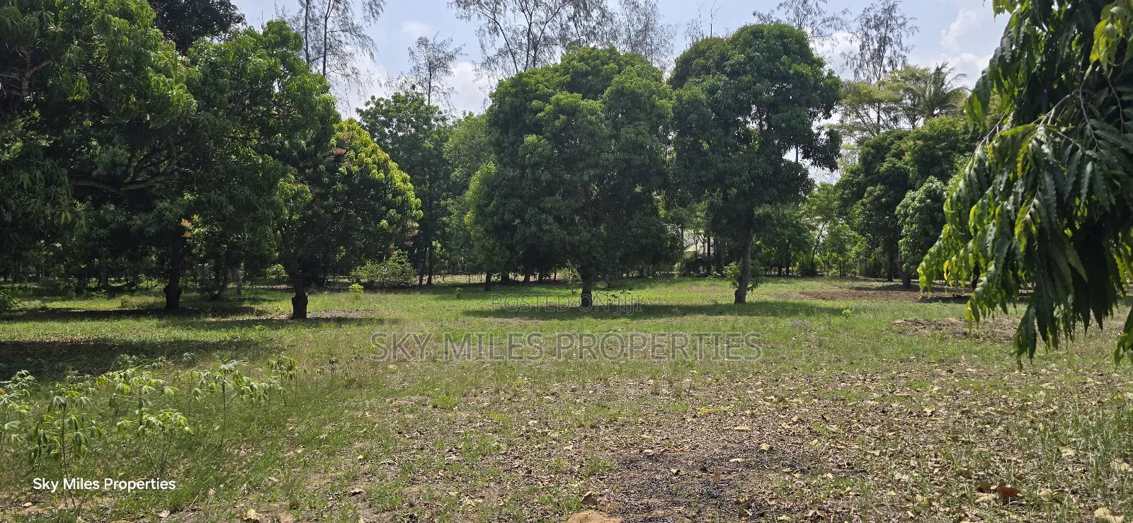 Prime 6-Acre Land for Sale in Mtwapa - Near Creek Beach