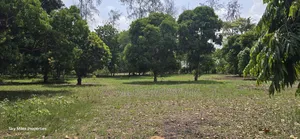 Prime 6-Acre Land for Sale in Mtwapa - Near Creek Beach