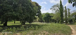 Prime 6-Acre Land for Sale in Mtwapa - Near Creek Beach
