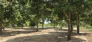 Prime 6-Acre Land for Sale in Mtwapa - Near Creek Beach