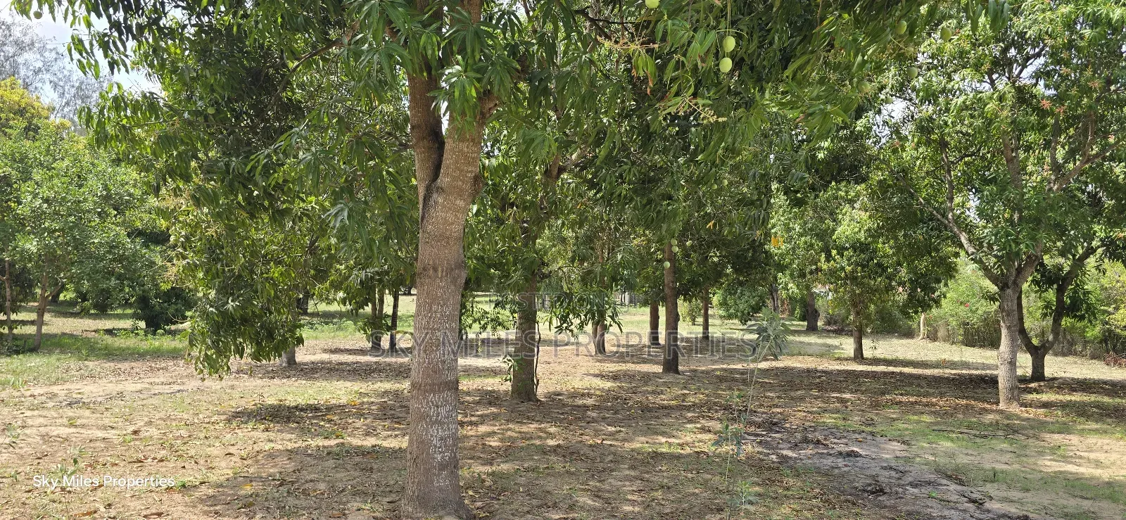 Prime 6-Acre Land for Sale in Mtwapa - Near Creek Beach