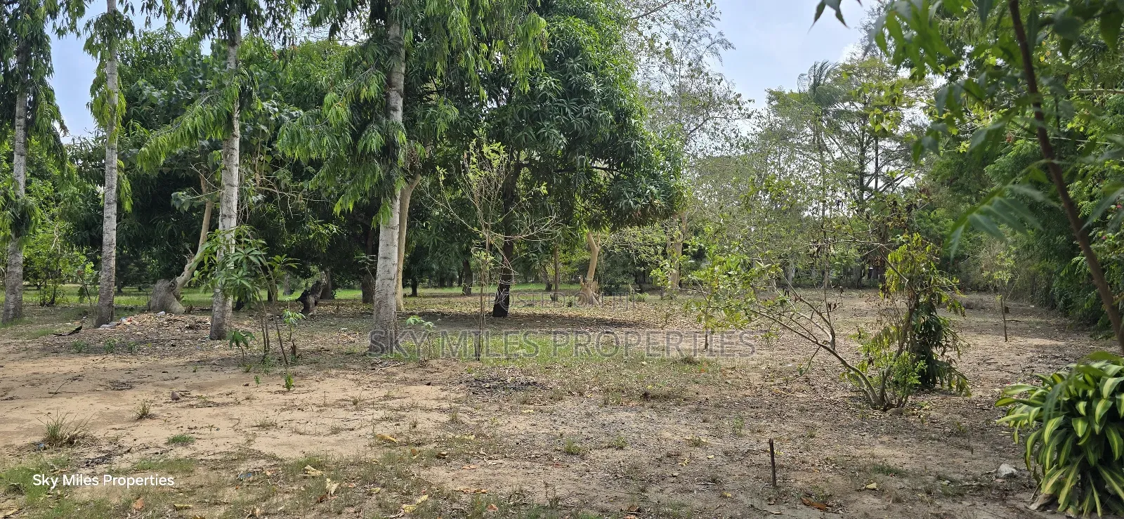 Prime 6-Acre Land for Sale in Mtwapa - Near Creek Beach